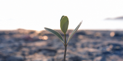 When Change Is the Only Constant, You Can Thrive, Adapt or Die Off: Embrace Change in Ediscovery
